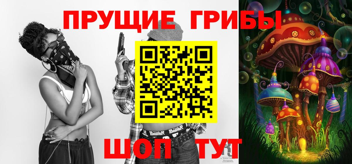 Гусев  Галлюциногенные грибы мухоморы  Вход с VPN 