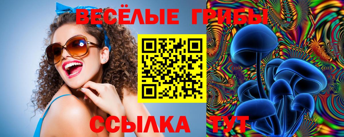 Галлюциногенные грибы MAGIC MUSHROOMS Гусев